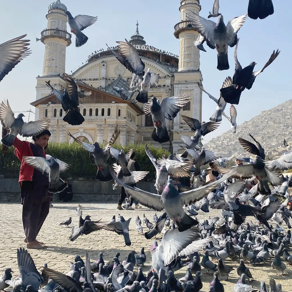 Kabul – Bamyan – Mazar e Sharif